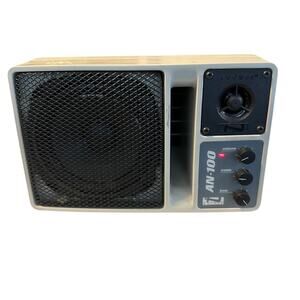 Anchor AN100 Powered PA Speaker Gray Wired Stereo RCA Tested Works